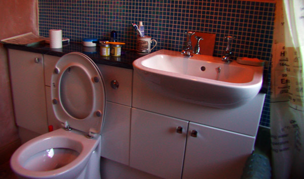 bog