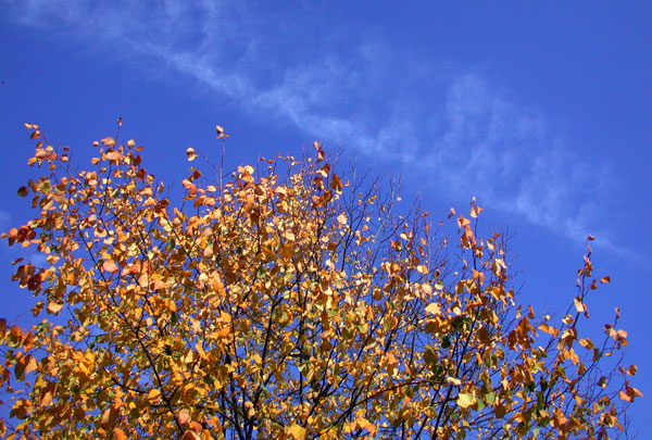 18-10-10DSCN5596