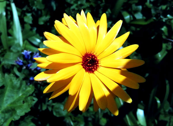 sunIMG_20200520
