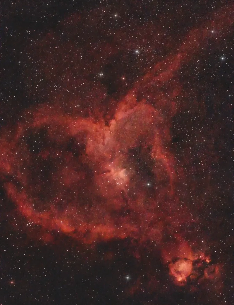 DM31-01heart2rc.webp