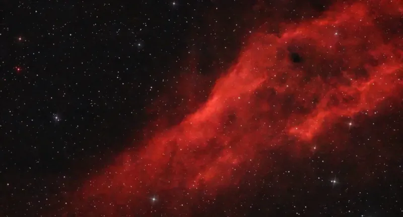DM40-02NGC1499-01.webp